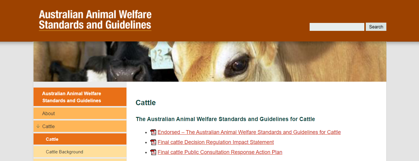 Cattle Welfare Standards