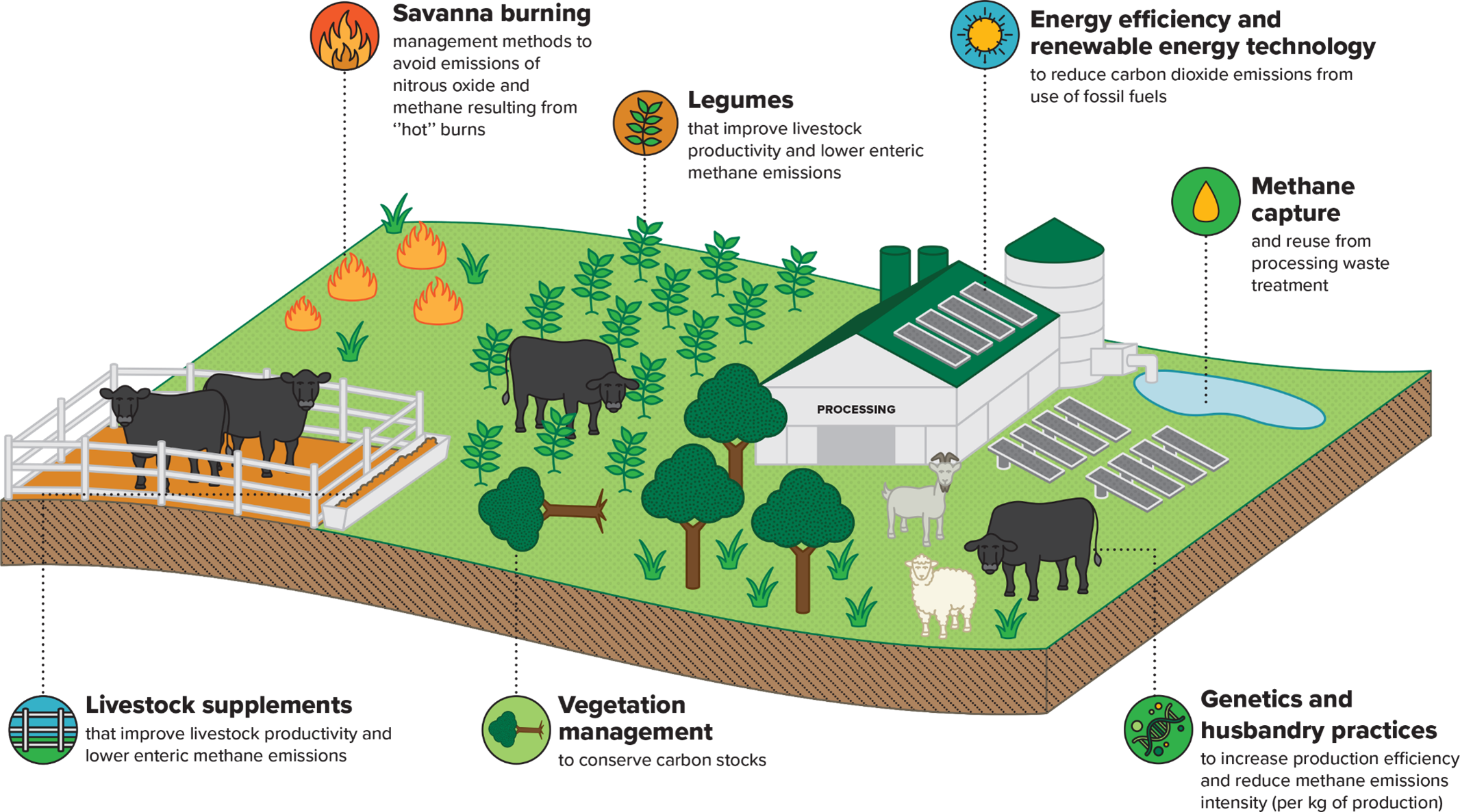 carbon-101-the-toolbox-mla-elearning